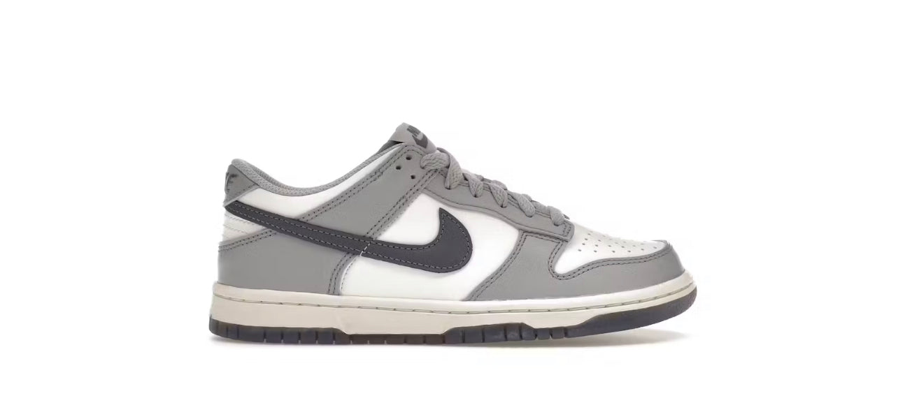 NIKE DUNK LOW LIGHT CARBON